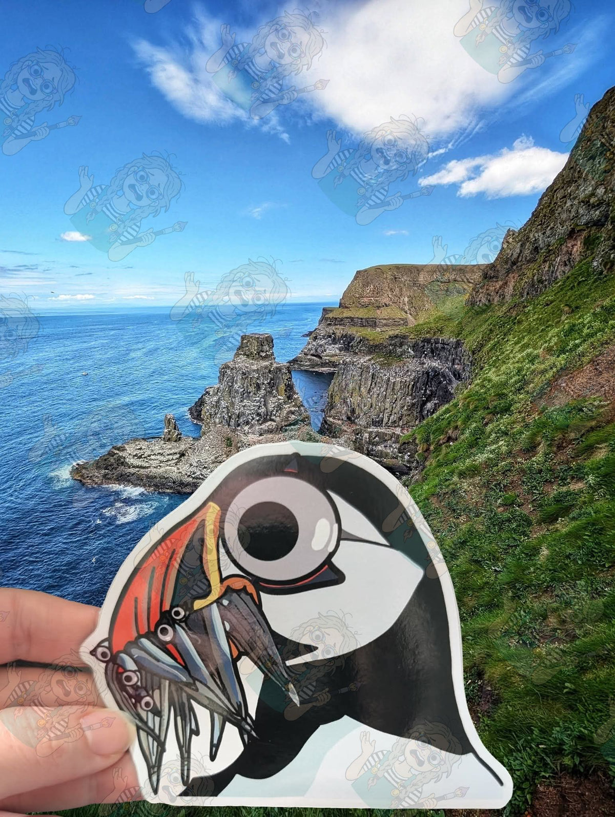 Hungry puffin