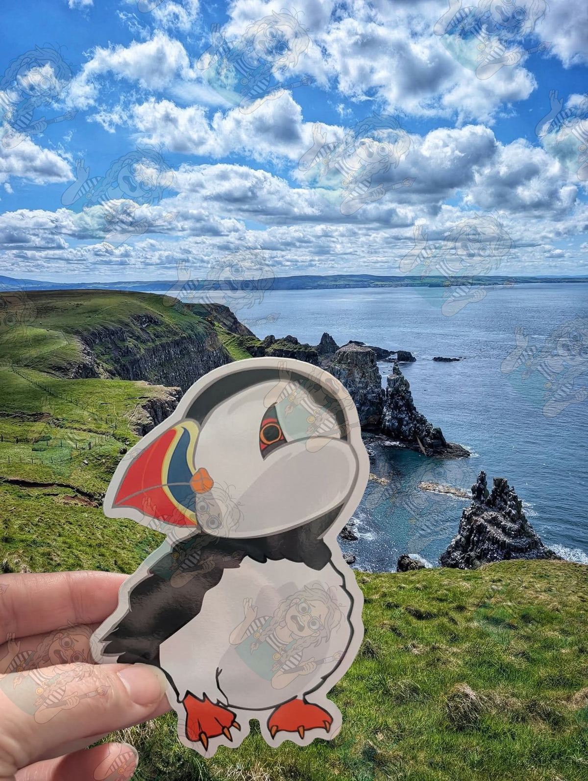 Puffin